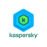 key kaspersky standard