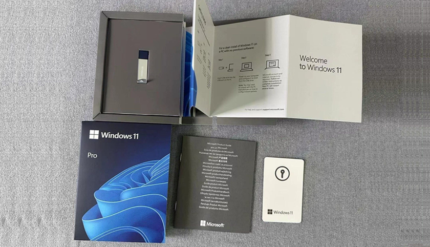Windows pro 11