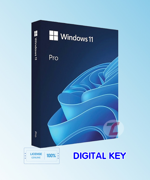 Windows 11 pro bản quyền chính hãng